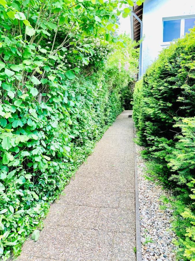 An Der Uniklinik, Apartment Mit Eigener Kueche Und Renoviertem Badezimmer, Zentrale Lage ホンブルク エクステリア 写真